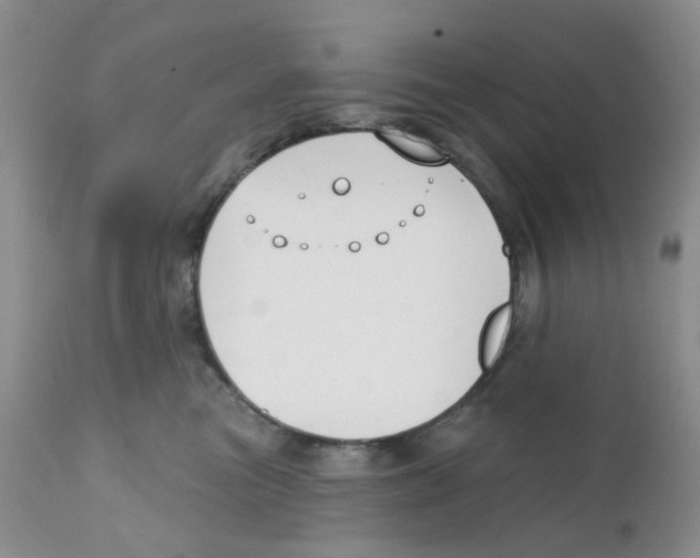 X0000111610473200908141258