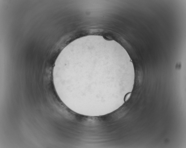 X0000111610475200908141258