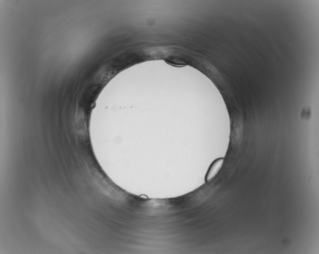 X0000111610477200908141258