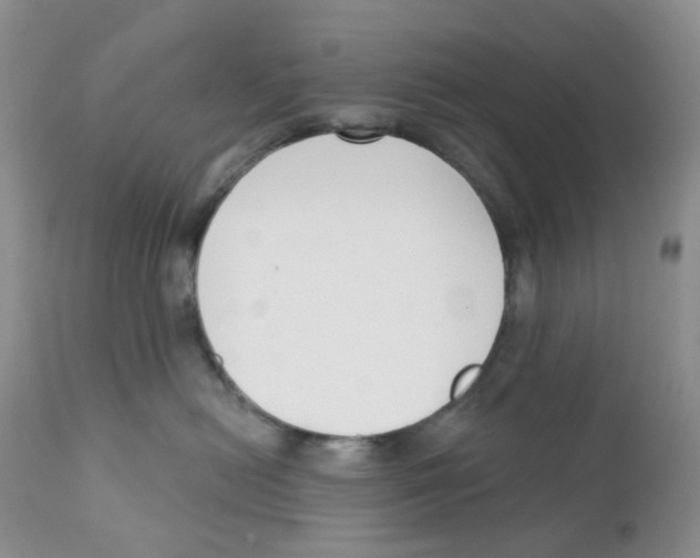 X0000111610478200908141258