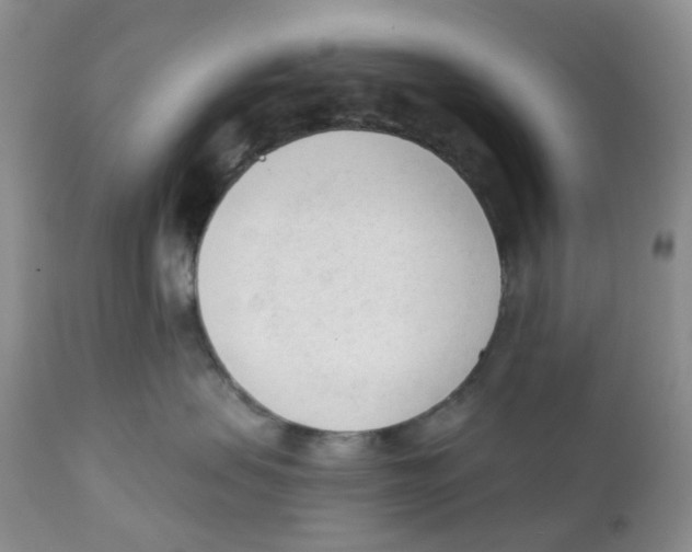 X0000111610479200908141258