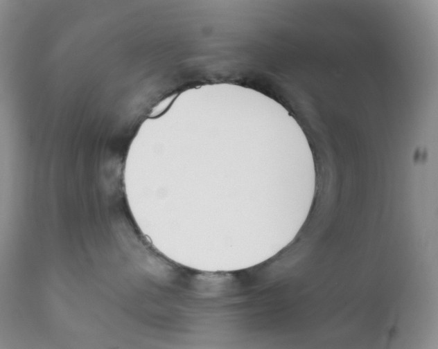 X0000111610480200908141258