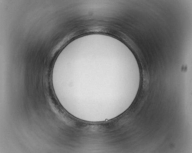 X0000111610482200908141257