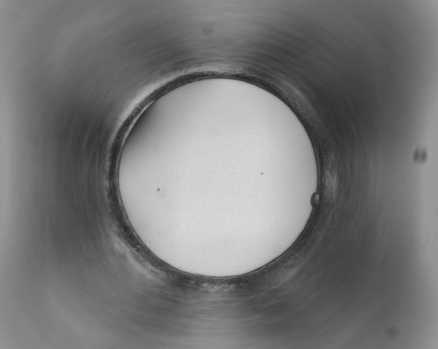 X0000111610484200908141257