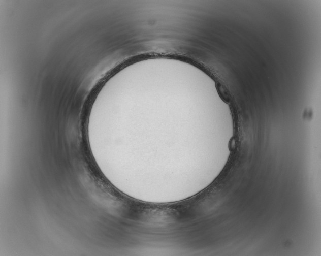 X0000111610488200908141257