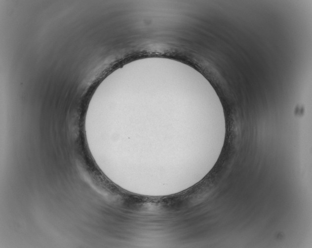 X0000111610496200908141257