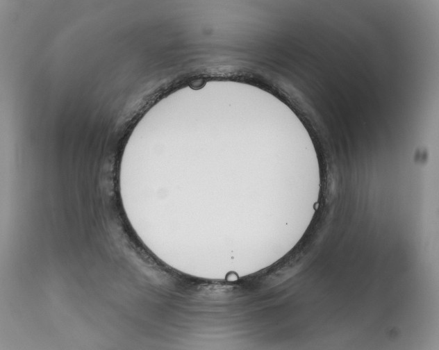 X0000111610497200908141257