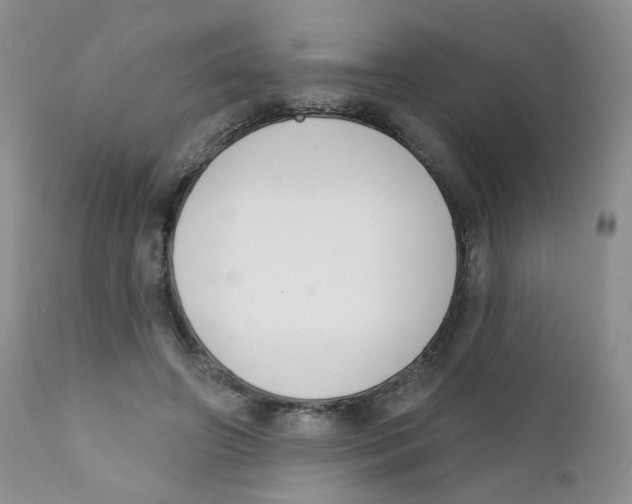 X0000111610498200908141257