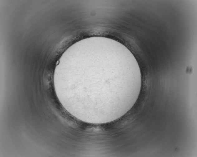 X0000111610503200908141257