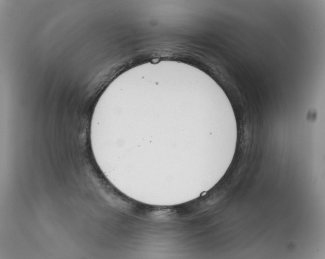 X0000111610505200908141257