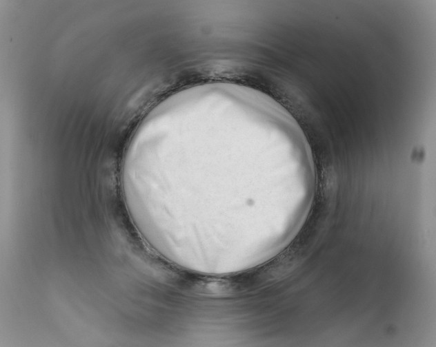 X0000111610506200908141257