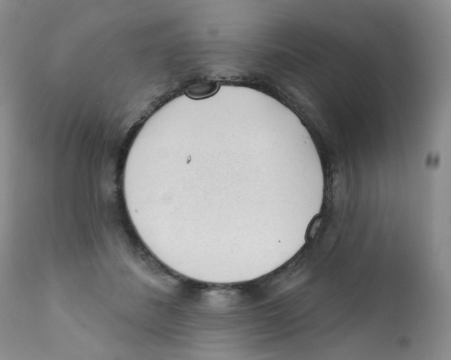 X0000111610508200908141257