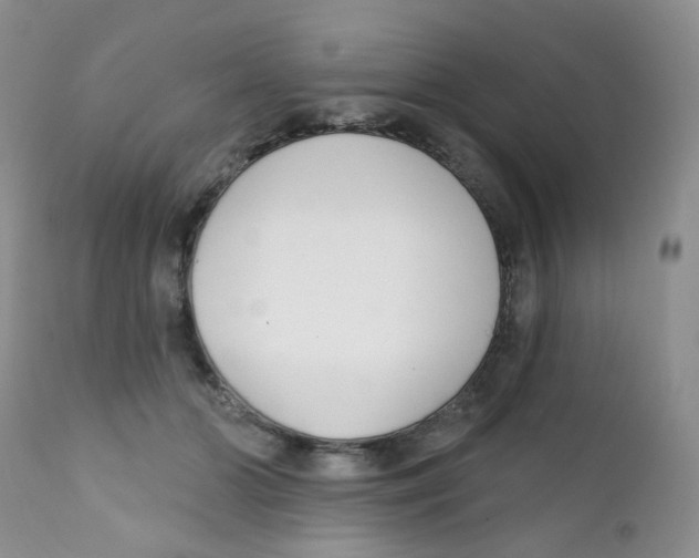 X0000111610510200908141257