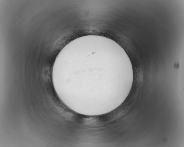 X0000111610511200908141257