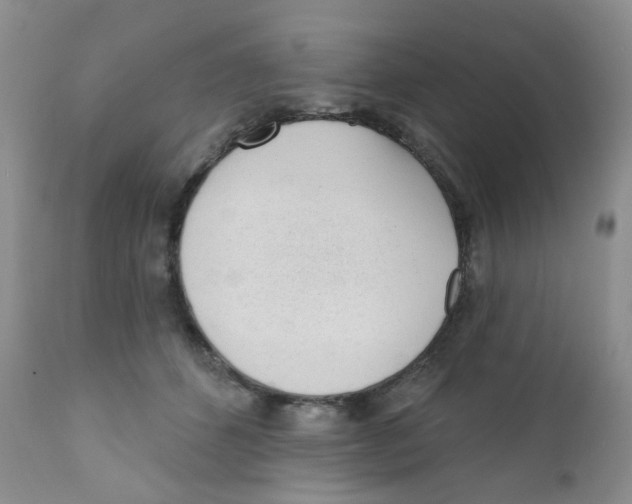 X0000111610512200908141257