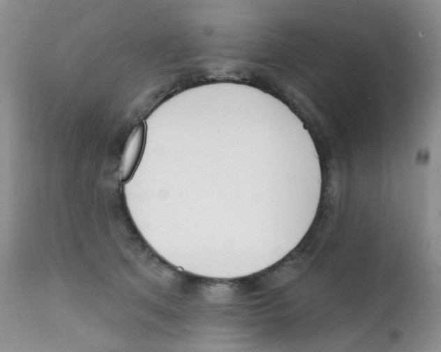 X0000111610513200908141257