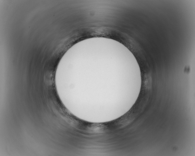 X0000111610514200908141257