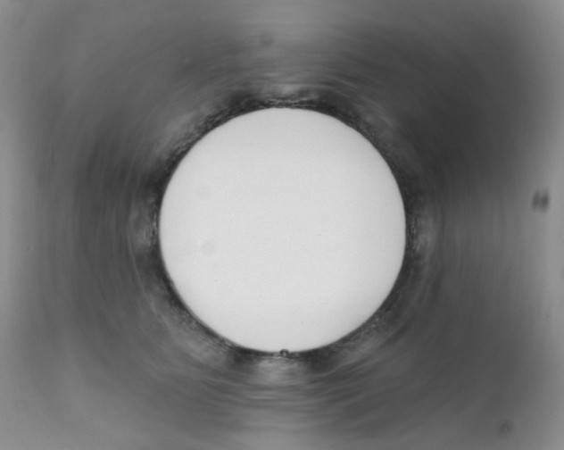 X0000111610515200908141257