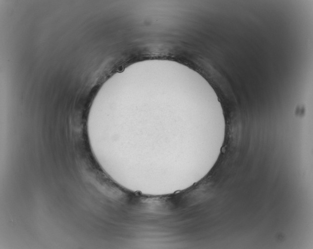 X0000111610516200908141257