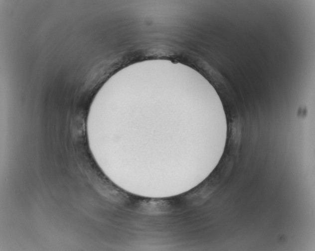 X0000111610517200908141257