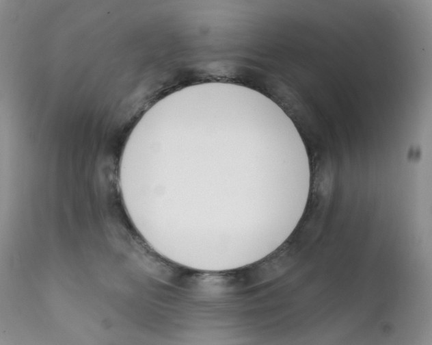 X0000111610518200908141257