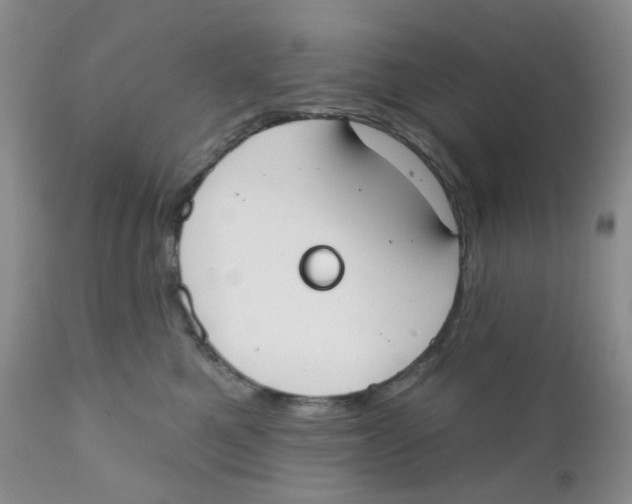 X0000111610521200908141257