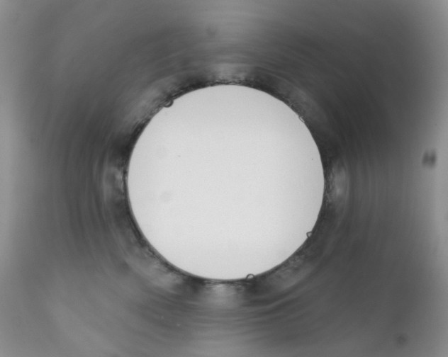 X0000111610522200908141257