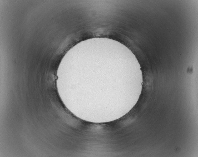 X0000111610523200908141257