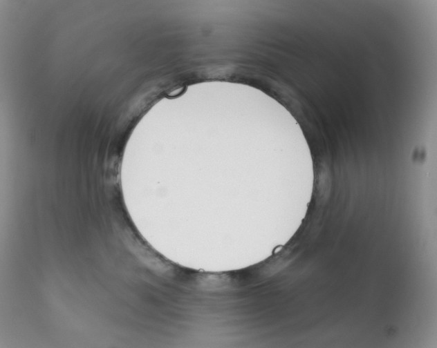 X0000111610525200908141257