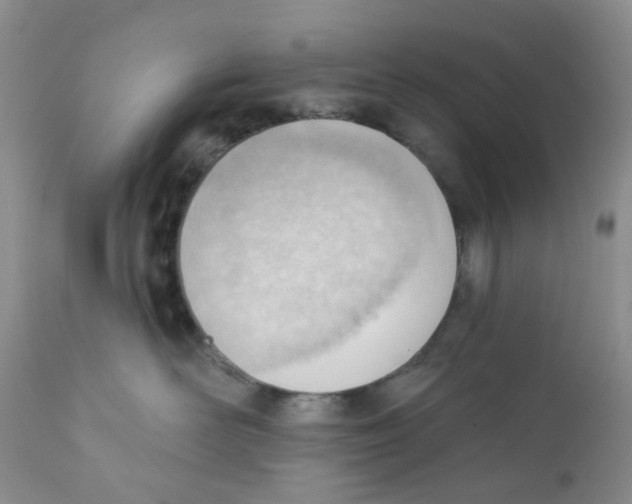 X0000111610526200908141257