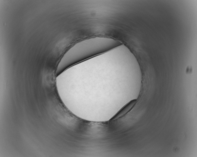 X0000111610528200908141257