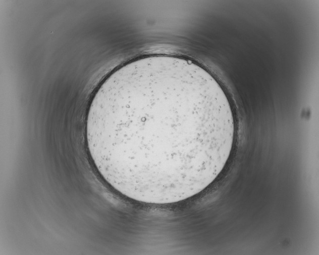 X0000111610529200908141256