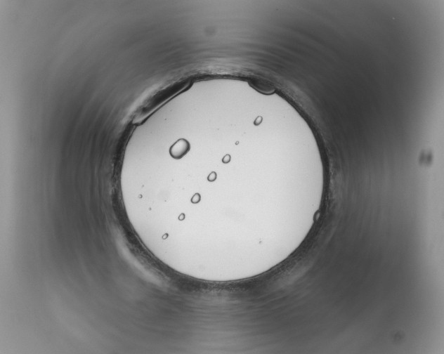X0000111610530200908141256