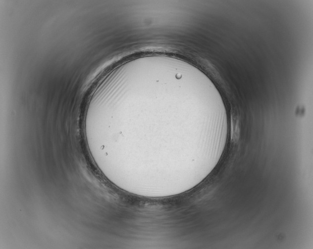 X0000111610531200908141256