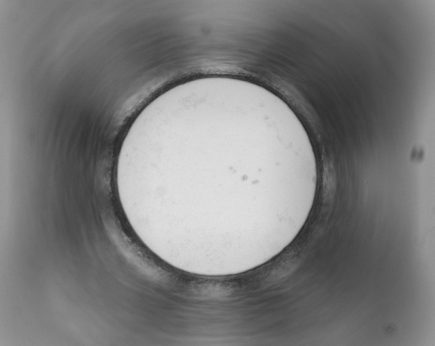X0000111610533200908141256