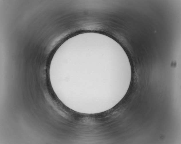X0000111610535200908141256