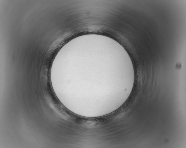 X0000111610542200908141256