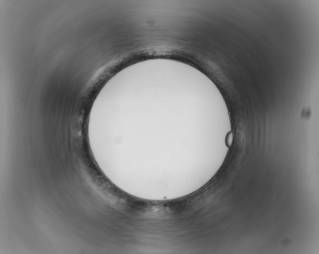 X0000111610543200908141256
