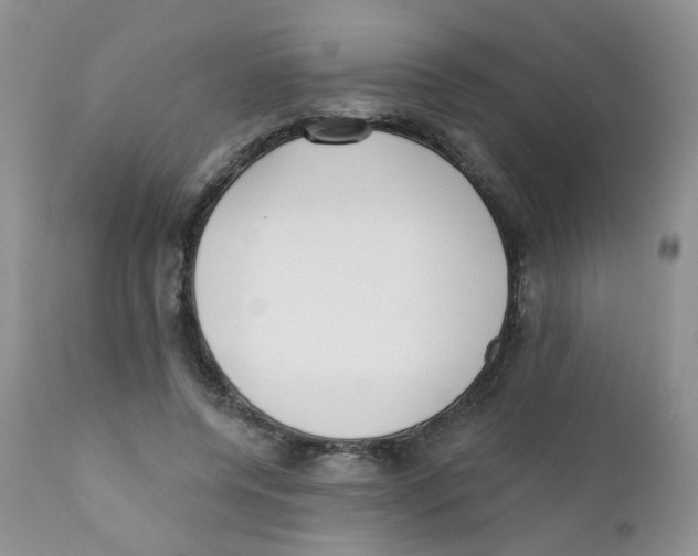 X0000111610544200908141256