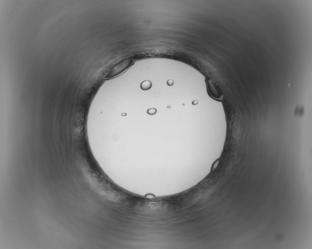 X0000111610546200908141256