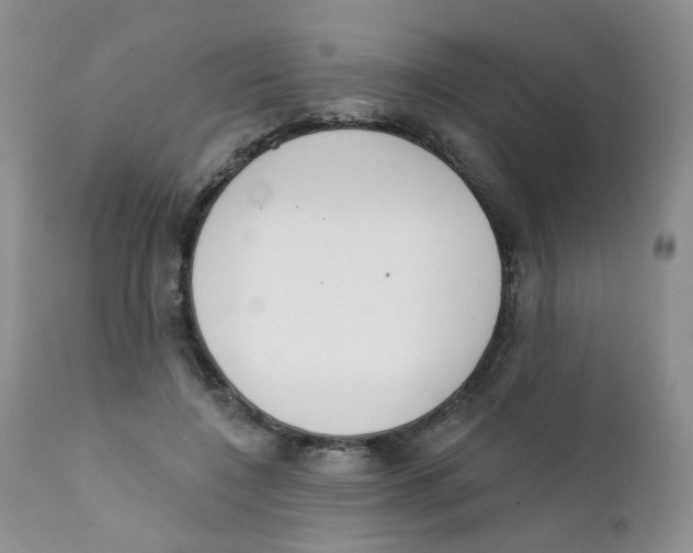 X0000111610548200908141256