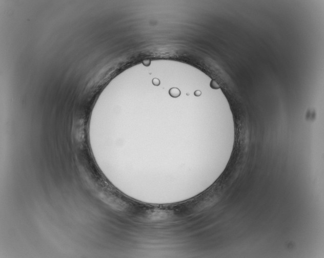 X0000111610549200908141256