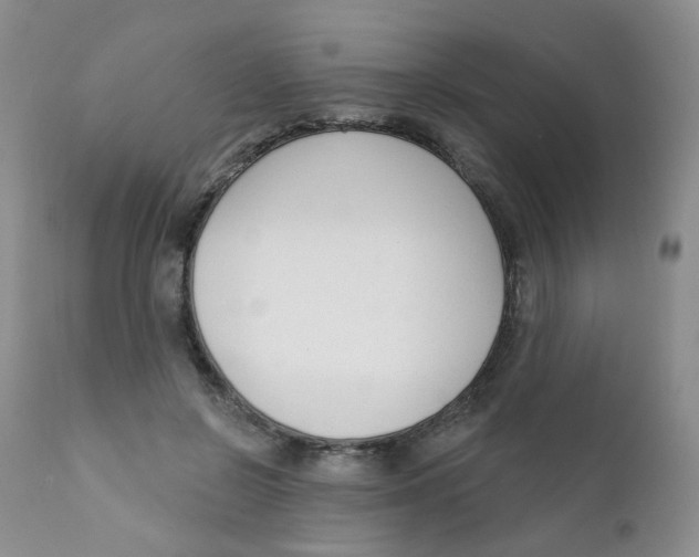 X0000111610550200908141256