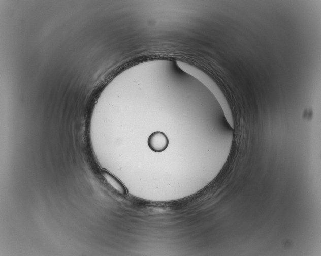 X0000111610552200908141256