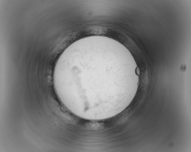 X0000111610553200908141256