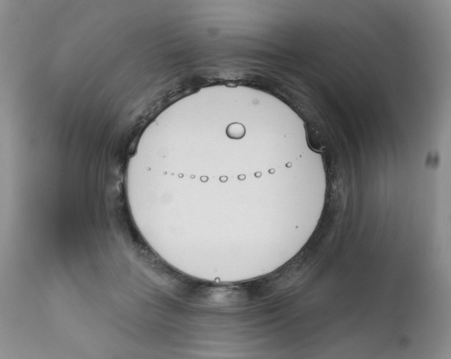 X0000111610555200908141256
