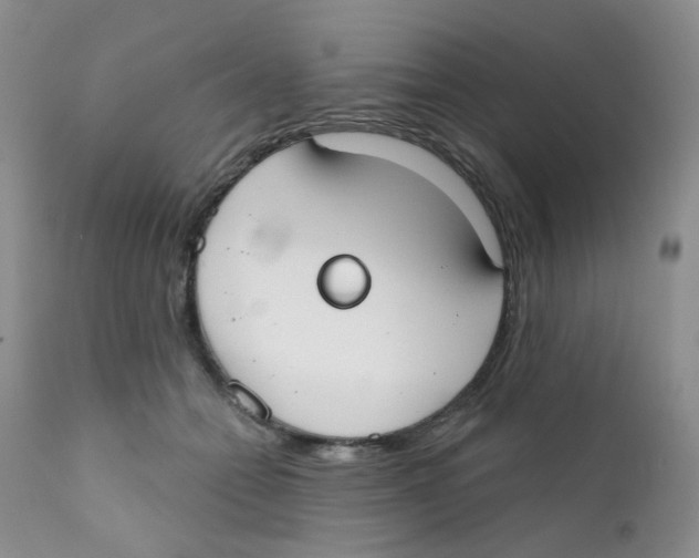 X0000111610558200908141256
