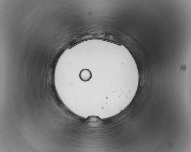 X0000111610560200908141257