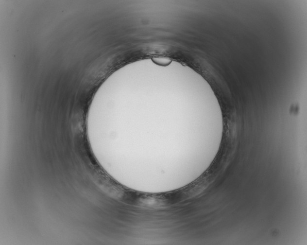 X0000111610561200908141257