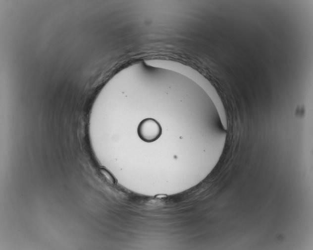 X0000111610562200908141257